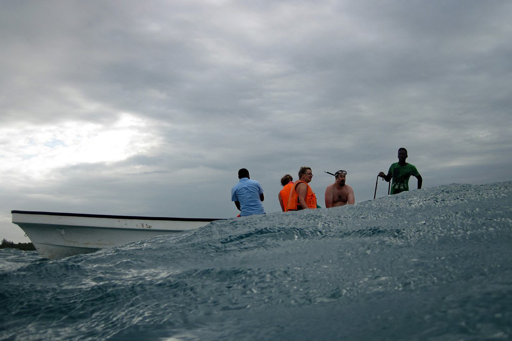 Kizimkazi Dolphin Tour