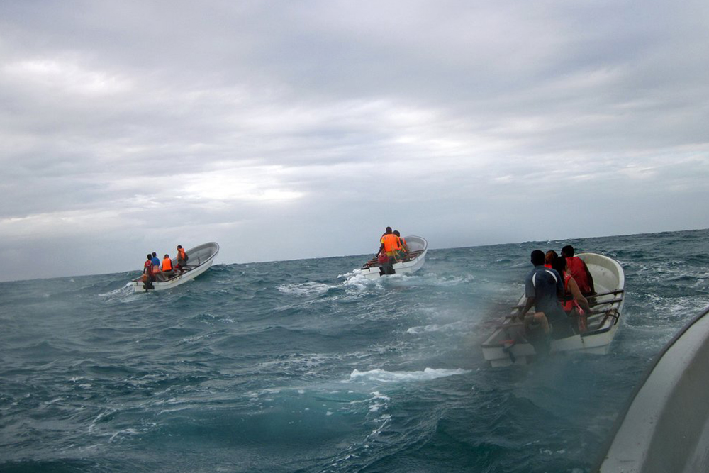 Kizimkazi Dolphin Tour