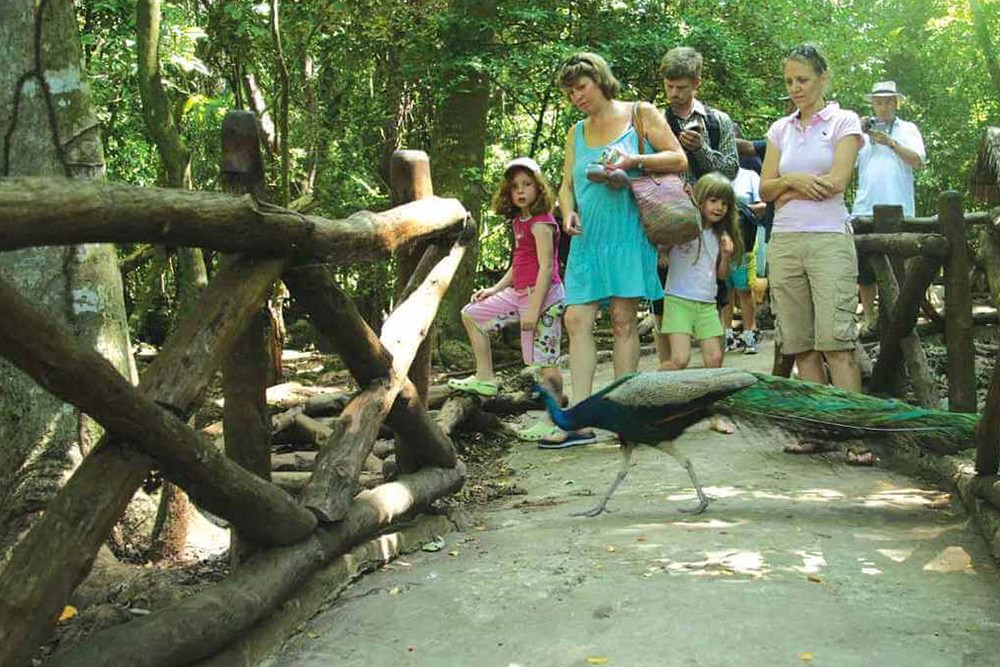 Prison Island Tour