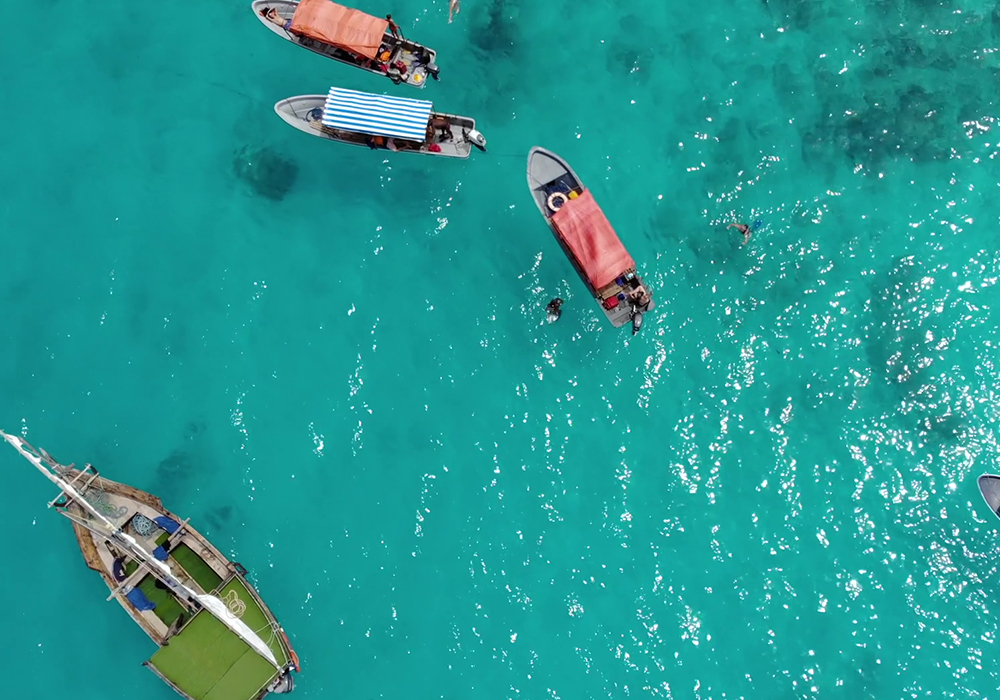 Snorkeling at Mnemba Atoll