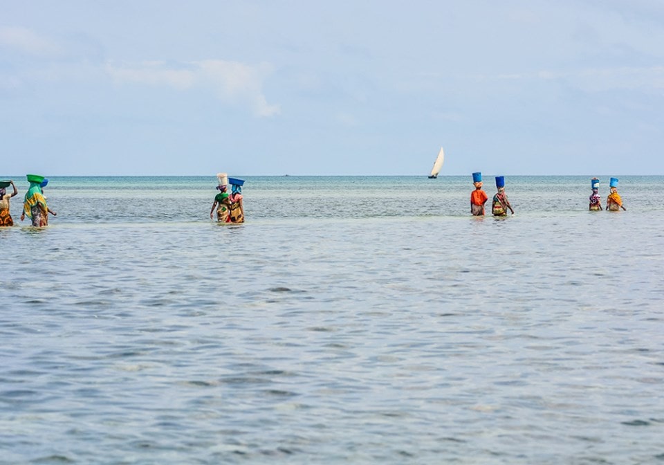 Tumbatu Cultural Village Tour