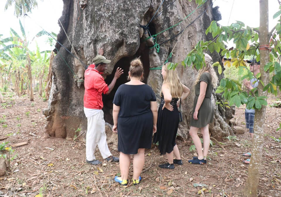 Uzi Island Cultural Village Tour