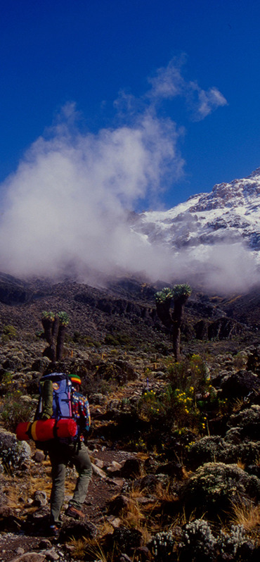 6 Days Kilimanjaro Trekking via Machame Route