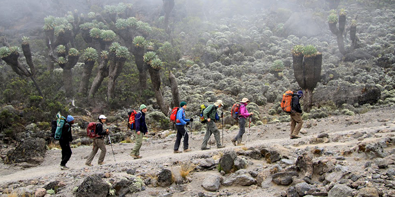 6 Days Kilimanjaro Trekking via Marangu Route