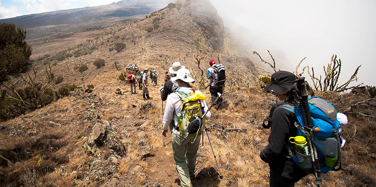 7 Days Kilimanjaro Trekking via Machame Route