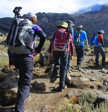 8 Days Kilimanjaro Trekking via Lemosho Route