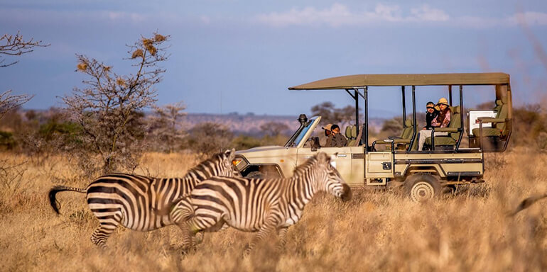 Day Trip Fly-in Safari to Selous Game Reserve from Zanzibar