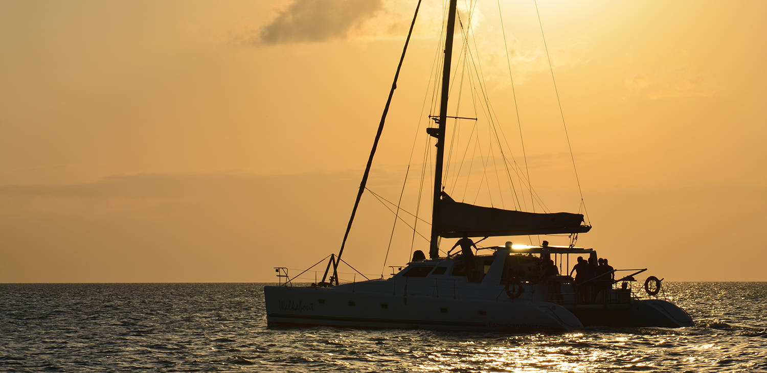 Luxury Catamaran Trip in Zanzibar