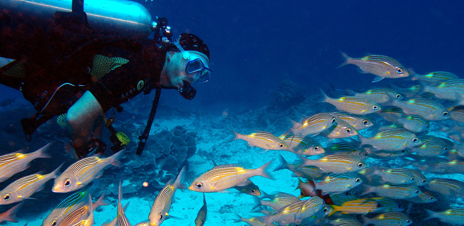 Diving in Zanzibar