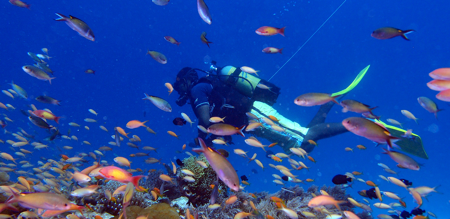 Diving in Zanzibar