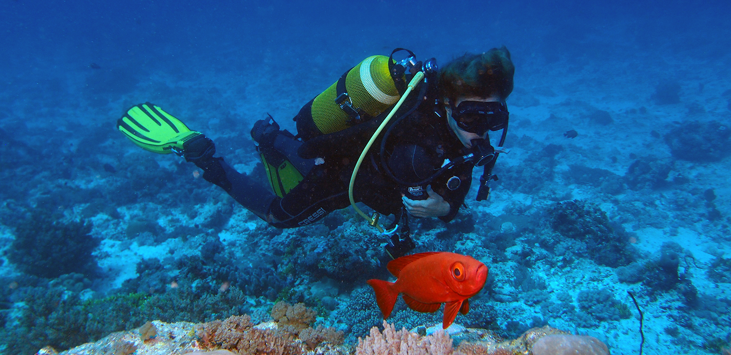 Diving in Zanzibar