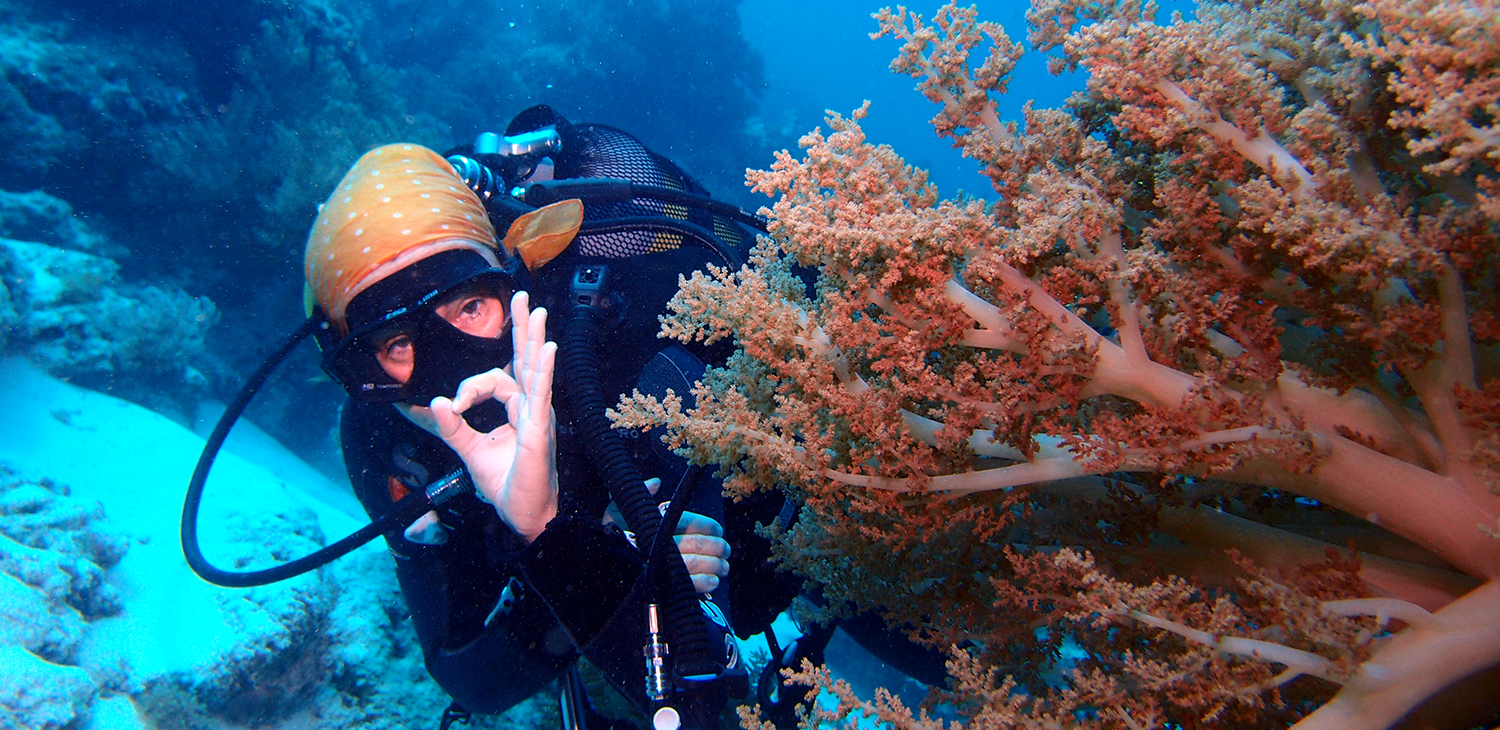 Diving in Zanzibar